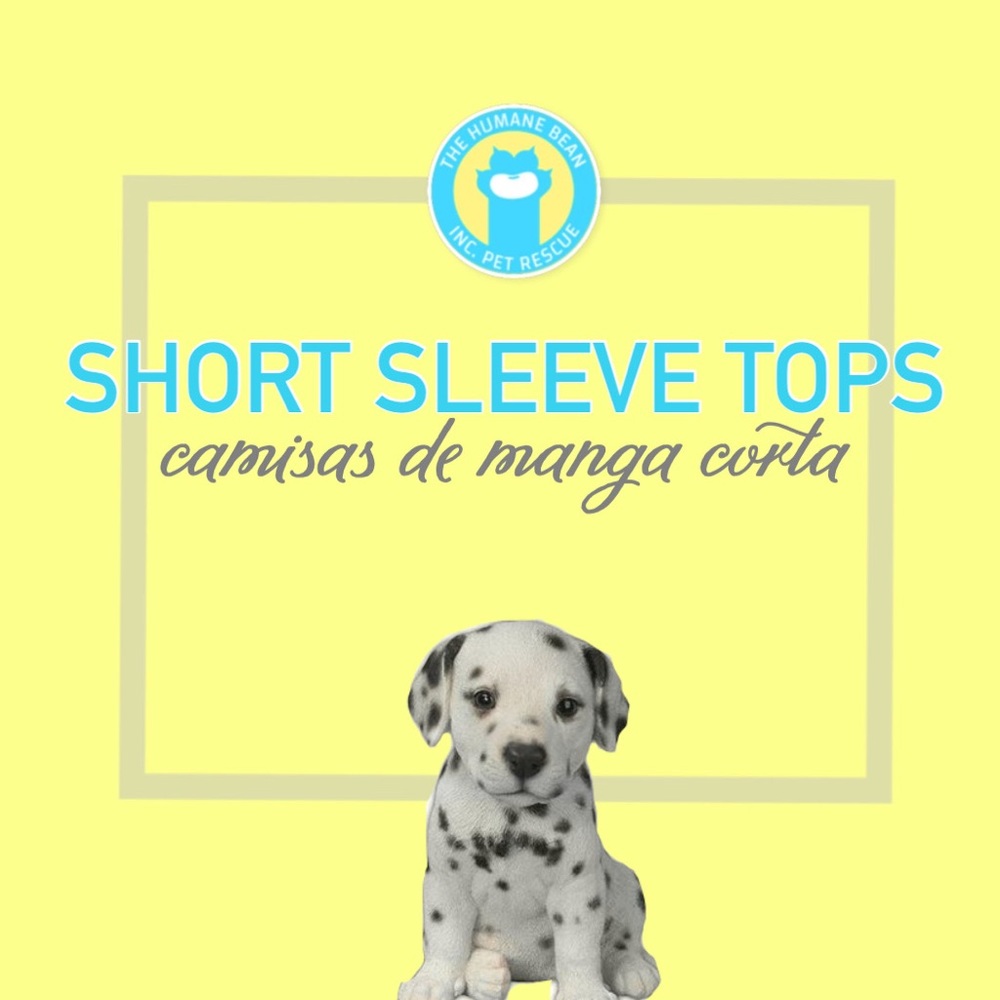 👚 SHORT SLEEVE TOPS 👕